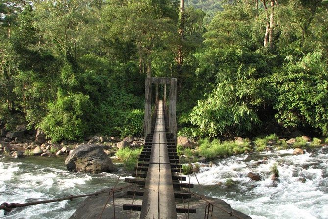 1 Day Activity Adventure Trekking Kerala - Breakfast at the cottage and the easy start to the day