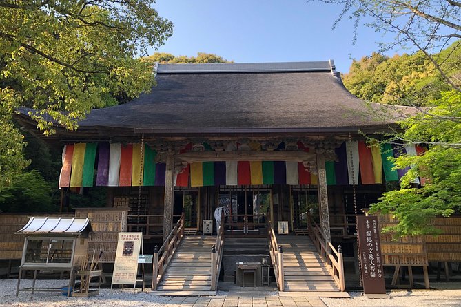 1-Day Kochi Highlights Tour with local guide - Kochi Castle: pre-Edo pride and the step test