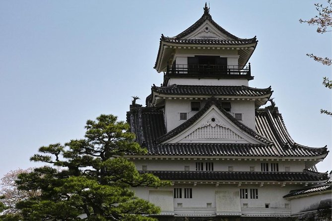 1-Day Kochi Highlights Tour with local guide - Chikurinji Temple: a short, quiet cultural reset