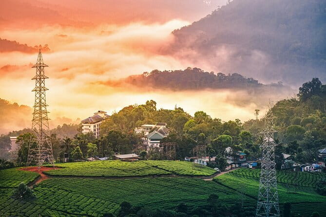 12 Hours Private Munnar Tour from Kochi - Key highlights worth caring about