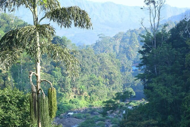 12 Hours Private Munnar Tour from Kochi - Price and time: Is $124.56 per person good value?