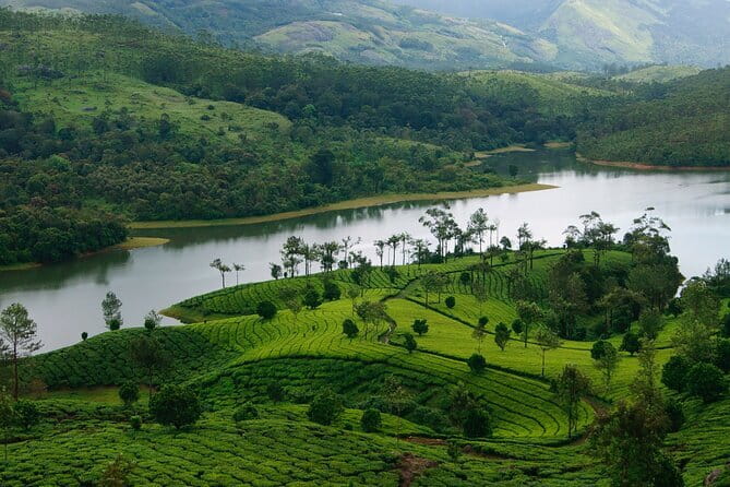 12 Hours Private Munnar Tour from Kochi - Who this private Munnar tour suits best
