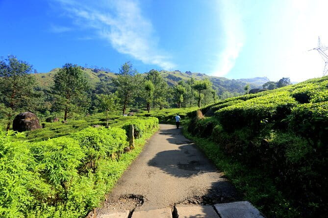 12 Hours Private Munnar Tour from Kochi - Cheeyappara and Valara waterfalls: Two stops, free admission, and quick scenic breaks
