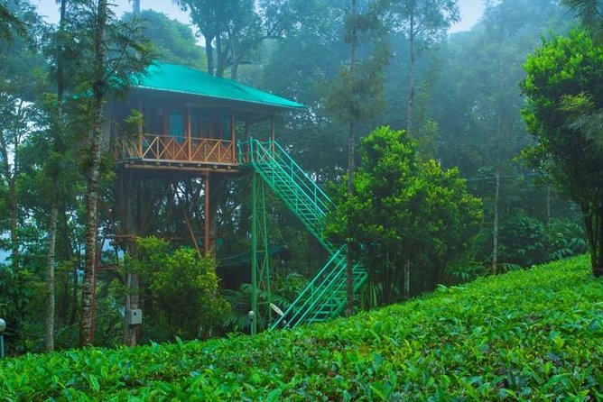 2 Nights Munnar Treehouse Escape with Private Car- Iris Holidays - Day 1 in motion: drive to Munnar with waterfall stops
