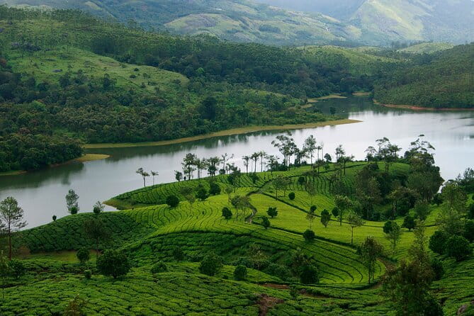3 Nights Private Kerala Premium Package by Sanguine Holidays - Key highlights that make this package worth a look