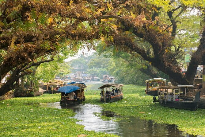 3 Nights Private Kerala Premium Package by Sanguine Holidays - Alleppey by noon: your private houseboat day on the backwaters