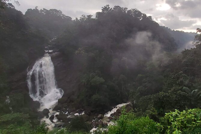 3 Nights Private Tour with Exclusive Houseboat- Sanguine Holidays - Day 1 Waterfalls: Cheeyappara and Valara on the Road to Munnar