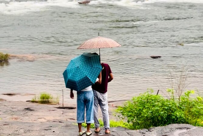 4 Day Kerala Tour Athirappilly Munnar Alleppey - Tea estate green trekking: viewpoints, photo stops, and a cultural lunch