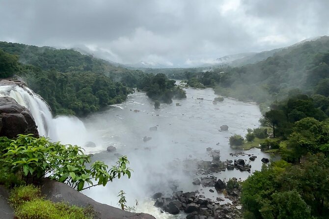 4 Day Kerala Tour Athirappilly Munnar Alleppey - Why the tea day works better with a fixed plan