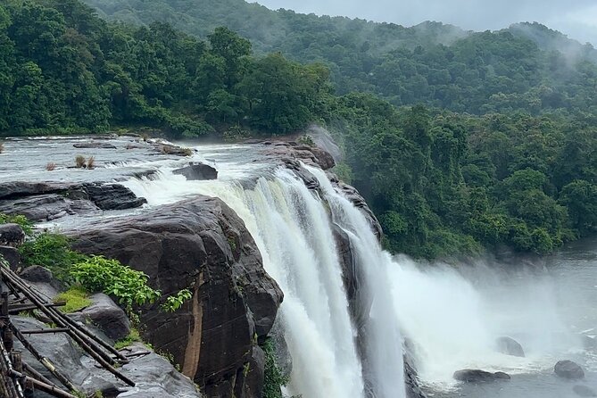 4 Day Kerala Tour Athirappilly Munnar Alleppey - Price and value: what your $364.50 really buys