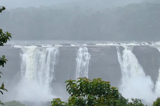 4 Day Kerala Tour Athirappilly Munnar Alleppey - Munnar’s Eravikulam National Park: short trek, safari-style focus