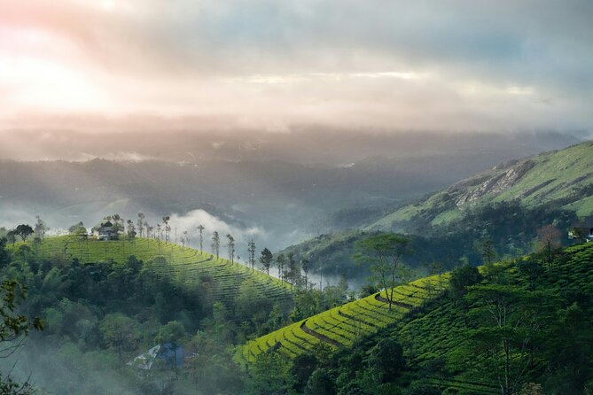 4 Days Private Kerala Tour -Kochi, Munnar, Thekkady with 3<em> Hotel – Key highlights you’ll actually feel on the trip’ /></p>
<ul>
<li><strong>Private car, driver, and fuel/tolls handled</strong> so you can focus on sights instead of logistics</li>
<li><strong>Munnar waterfall hop</strong> (Cheeyappara and Valara) for quick, memorable wow moments</li>
<li><strong>Tea-world time</strong> at the KDHP Tea Museum plus classic Munnar gardens and viewpoints</li>
<li><strong>Kundala + Mattupetty circuit</strong> that balances lakes, dams, and dairy-farm stops</li>
<li><strong>Eravikulam National Park (Rajamalai)</strong> for the chance to spot the Nilgiri tahr</li>
<li><strong>Periyar Lake wildlife time</strong> with a long, scenic block set aside for the sanctuary experience</li>
</ul>
<h2 id="day-1-arrive-at-kochi-airport-then-straight-into-munnars-tea-world">Day 1: Arrive at Kochi Airport, then straight into Munnar’s tea world</h2>
<p><img width="669" height="446" decoding="async" src=