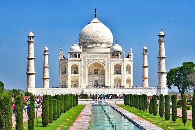 5 Day Private Tour of Tigers, Taj Mahal and Palaces from Cochin - Guides, drivers, and why it can make or break the trip