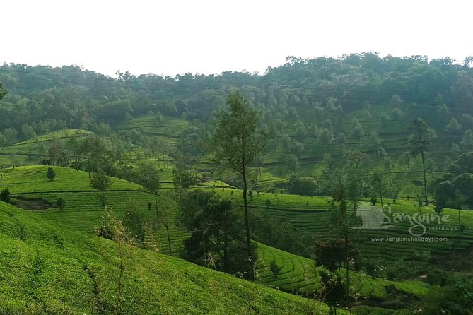 5 Days Budget Kerala Tour Packages by Sanguine Holidays - Day 1: Cheeyappara and Valara Waterfalls on the Way to Munnar