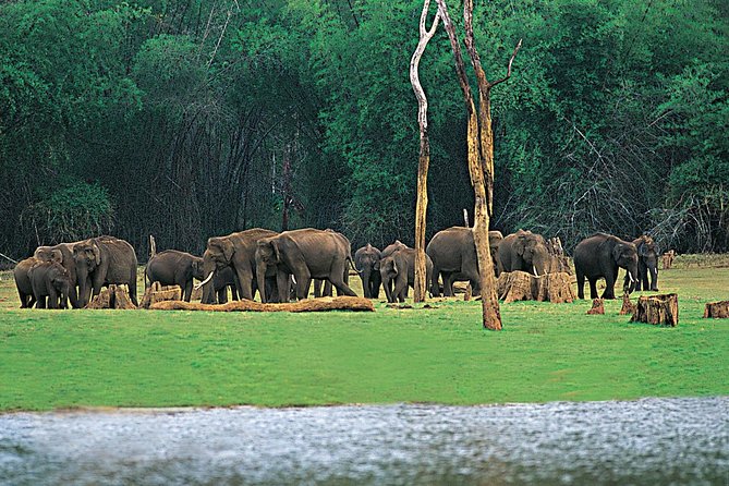 5 Days Kerala Tour Package With 4 Star Stays & Private Houseboat - Key highlights worth your attention