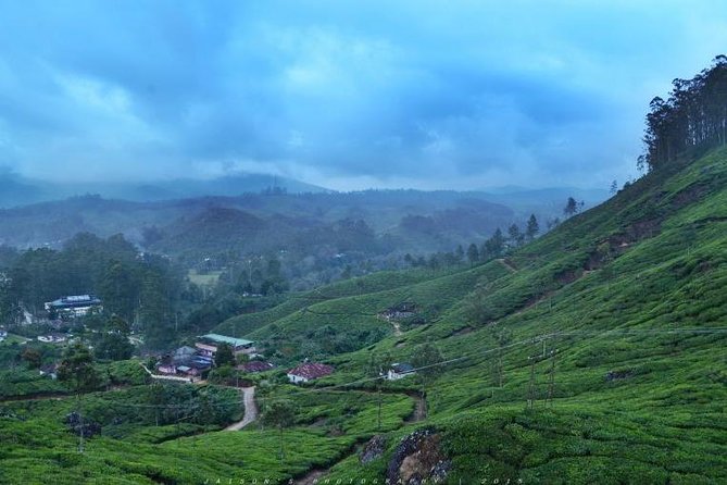 5 Days Kerala Tour Package With 4 Star Stays & Private Houseboat - Eravikulam National Park and Kannan Devan Tea Museum