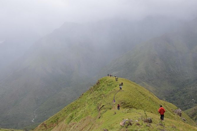5 Days Kerala Tour Package With 4 Star Stays & Private Houseboat - Green Land Spice Garden and Periyar Wildlife Sanctuary reality