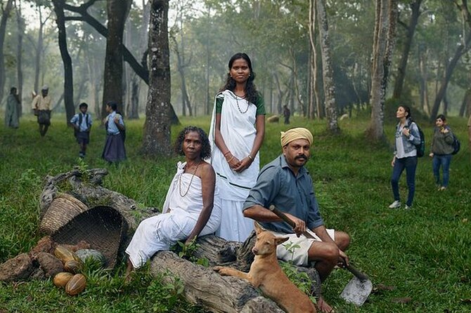 5 Days Kerala Tour with Private Car Houseboat Munnar and Thekkady - Key highlights you’ll actually feel