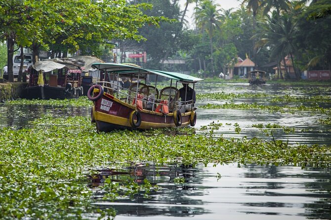 5 Days Kerala Tour with Private Car Houseboat Munnar and Thekkady - Munnar’s best hits in a day: dams, gardens, echo point, tea