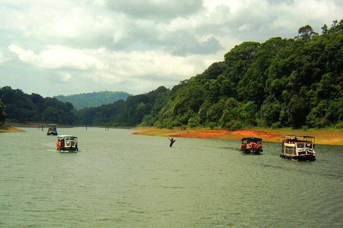 5 Days Kerala Tour with Private Car Houseboat Munnar and Thekkady - Price and value: what $295 per person includes, and what it doesn’t