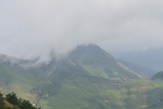 5 Days Kerala Tour with Private Car Houseboat Munnar and Thekkady - Thekkady and Periyar Lake: wildlife time with real breathing room