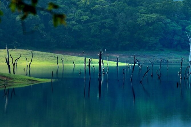 5 Days Luxury Kerala Tour with Houseboat Experience - How this 5-day luxury Kerala route actually feels on the ground
