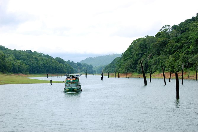 5 Days Private Kerala Tour Package by Saffron India Tours - Munnar’s tea gardens and waterfalls: scenery with short stops