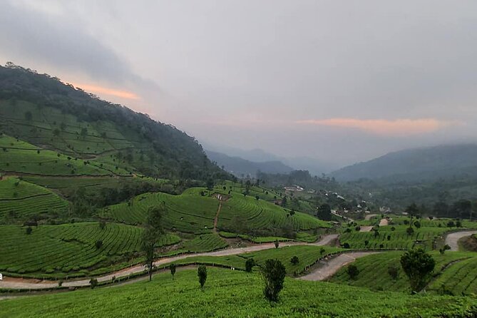 5 Days Private Kerala Tour with Houseboat by Sanguine Holidays - A 5-day Kerala plan that stays logical (Fort Kochi → Munnar → Thekkady → Backwaters)