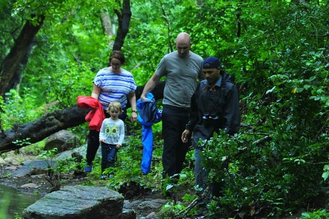 5-Days Private Kerala Tour with Sightseeing Tickets - Day 2: Eravikulam National Park and Munnar’s tea-country stops