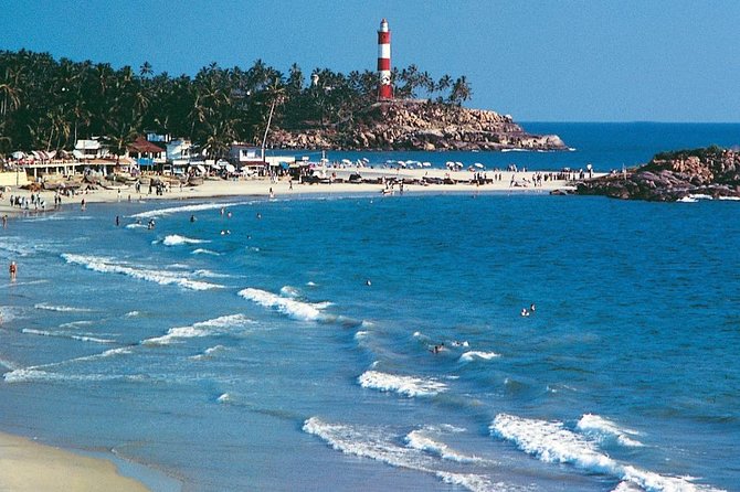 7-Day Kerala Luxury Tour from Cochin with Private Driver - Munnar’s best mix: Eravikulam area + tea stops