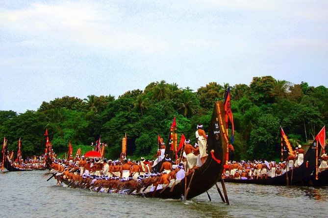 7-Day Kerala Luxury Tour from Cochin with Private Driver - Meals: one detail you should verify before you go