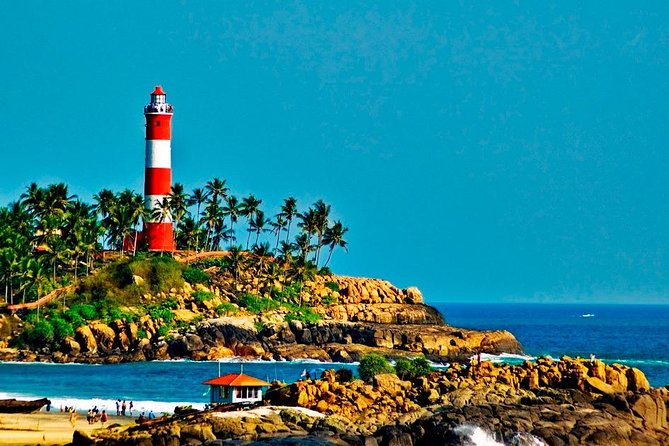 7-Day Kerala Luxury Tour from Cochin with Private Driver - The road to Munnar: tea hills by private car