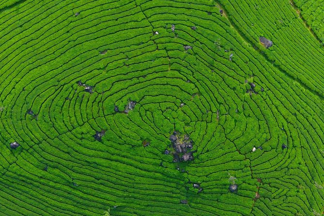 8 Days Kerala Private Tour (3 Star) with Munnar, Houseboat & Cab- Iris Holidays - Thekkady and Periyar Wildlife Sanctuary: Lake Periyar Cruise Logistics That Matter