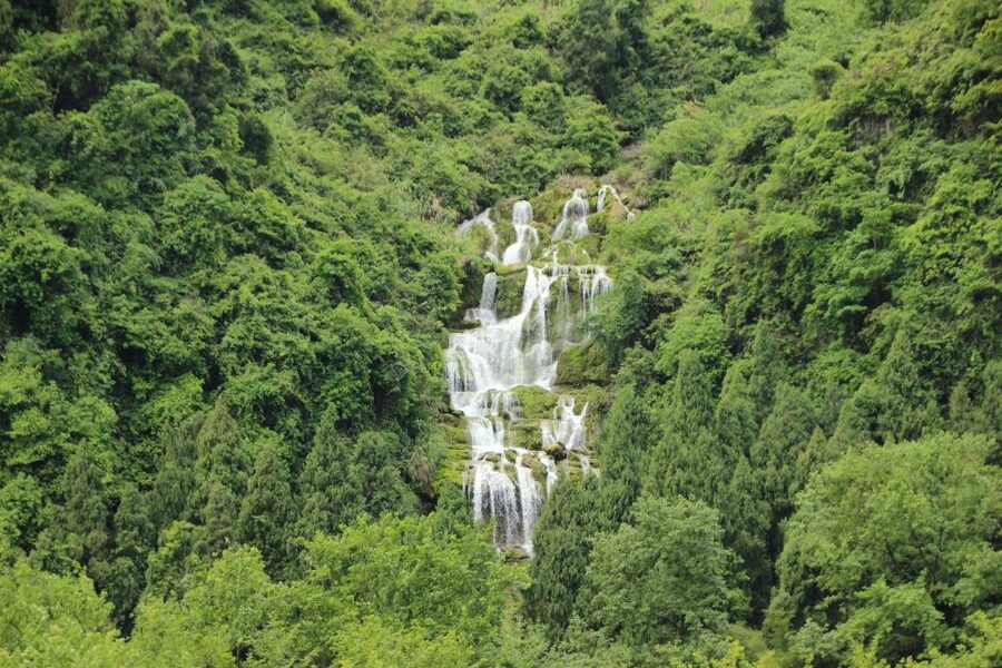 A Day in Munnar: Nature, Culture, and Local Flavor - Tips to Make This Day Smoother (and More Fun)