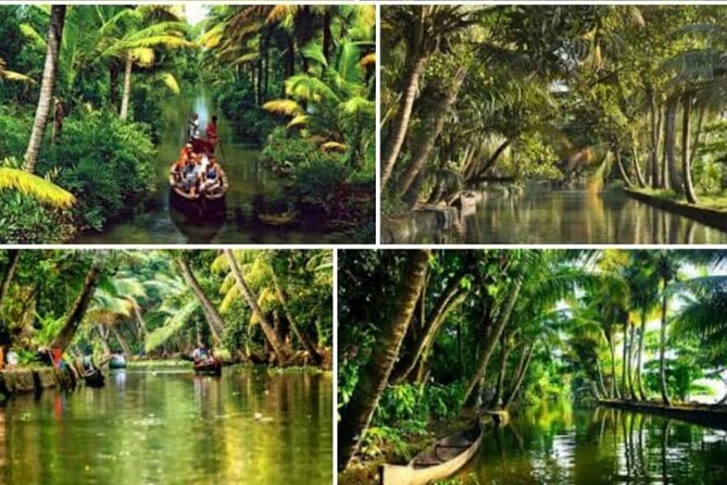 Alasr Lakeview Cruise /Hourly Trips to Backwater of Alleppey - Key things to know before you go