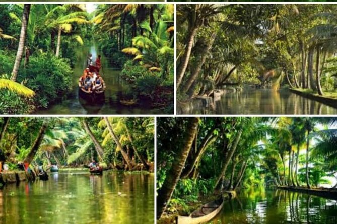 Alasr Lakeview Cruise /Hourly Trips to Backwater of Alleppey - Hourly shikara time: why this ride feels more personal