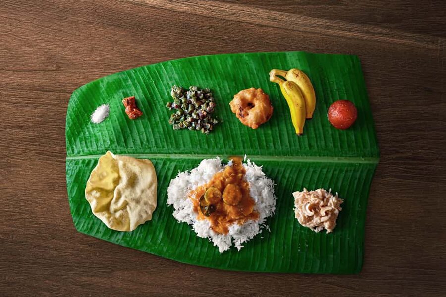 Alleppey / Alappuzha Houseboat Day Cruise with Lunch: Cochin - Price and Value: Is $155 Fair for a Full Day?