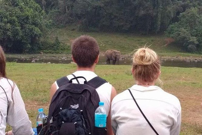 Anakulam Wild Elephant Village life tour ( By Munnar Info) - Price and logistics: what you’re really paying for