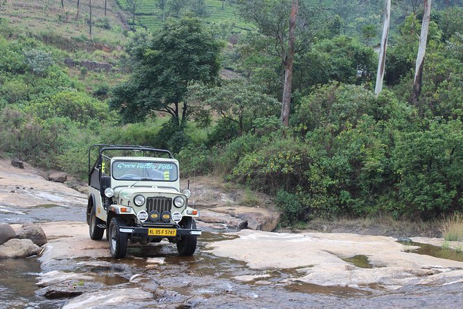 Anakulam Wild Elephant Village life tour ( By Munnar Info) - Stop 1: Tea Gardens and the Lekshmi tea estate view