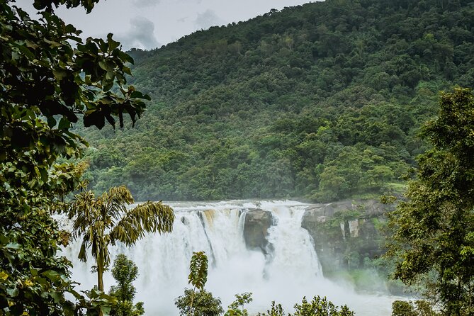 Athirapally Waterfalls from Cochin - Key things to know before you go