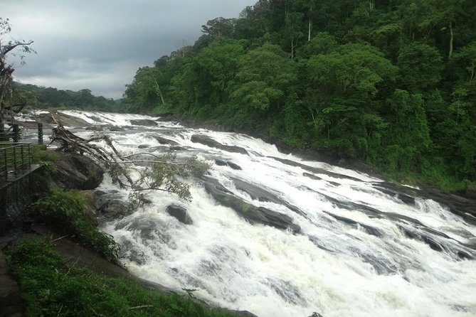 Athirappally & Vazhachal Waterfall Tour with Lunch - Entering the waterfall story: Athirappally and Vazhachal in one run
