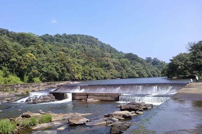 Athirappally & Vazhachal Waterfall Tour with Lunch - Athirappilly Waterfalls: the 25 m drop and elephant-watch value