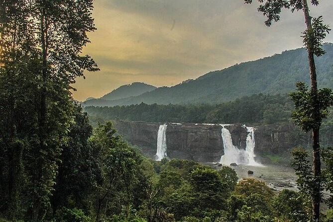 Athirappilly & Vazhachal Waterfalls Private Day Tour from Kochi - Lunch at a 4-star resort: comfort you’ll thank yourself for