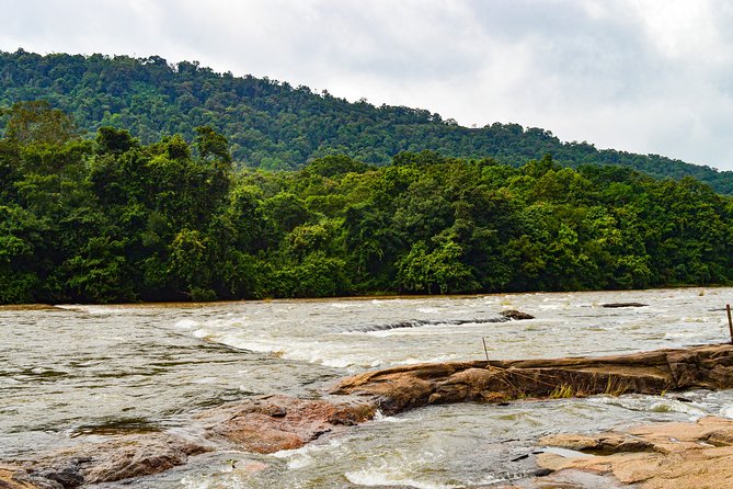 Athirappilly Water Falls : A Nature Day Trip from Kochi - Key points at a glance
