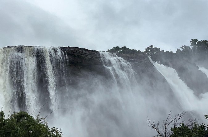 Athirappilly Waterfalls Day Trip from Kochi with Transfers - Wildlife spotting: what you can reasonably hope to see