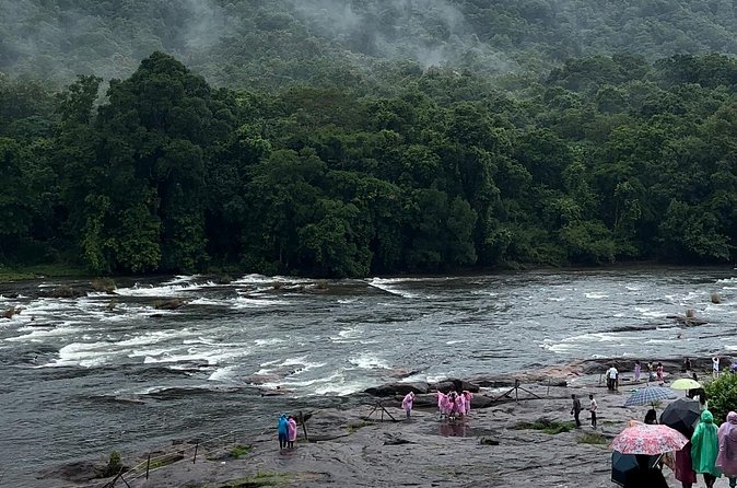 Athirappilly Waterfalls Day Trip from Kochi with Transfers - Who should book this Athirappilly day trip