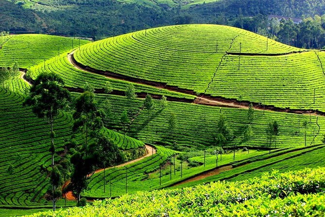 Backwater Tour from Cochin - The main cruise: village life from a kettu vallam