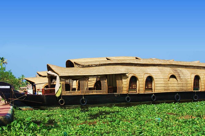 Backwaters Houseboat Cruise in Aleppey with Lunch from Cochin - Private Tour - The cruise itself: villages, birds, and the art of slow travel