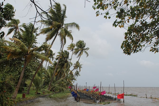 Best of Kerala - Three days in Kochi plus an overnight backwaters boat