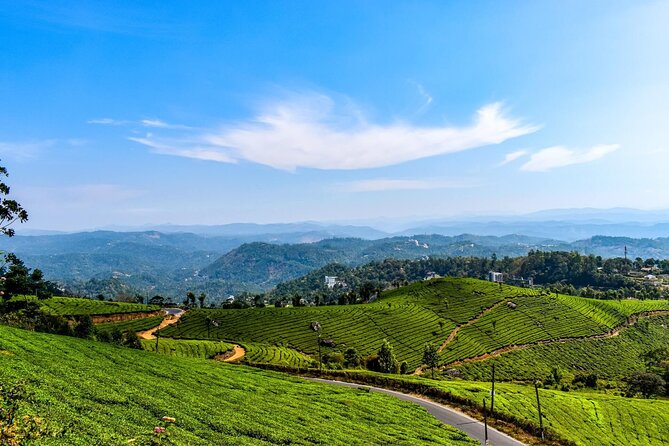 Best of Kerala Tour (Exclusive Private tour) - Day 1 in Kochi: Spice Market first, sleep easy